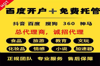专业SEM托管服务，案例解读SEO优化策略